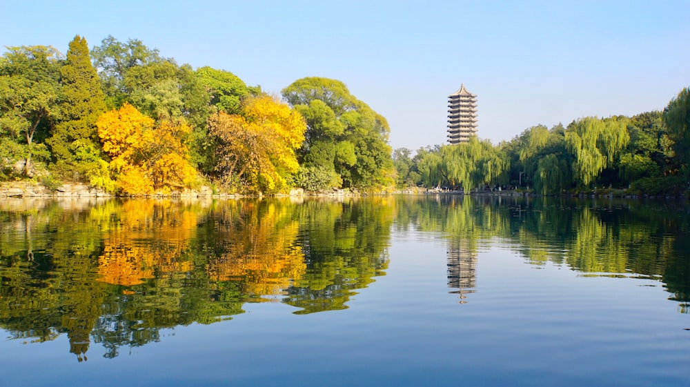 lake surrounded by trees landscape