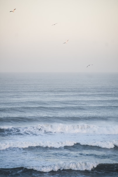 Calming waves for therapy in Staunton