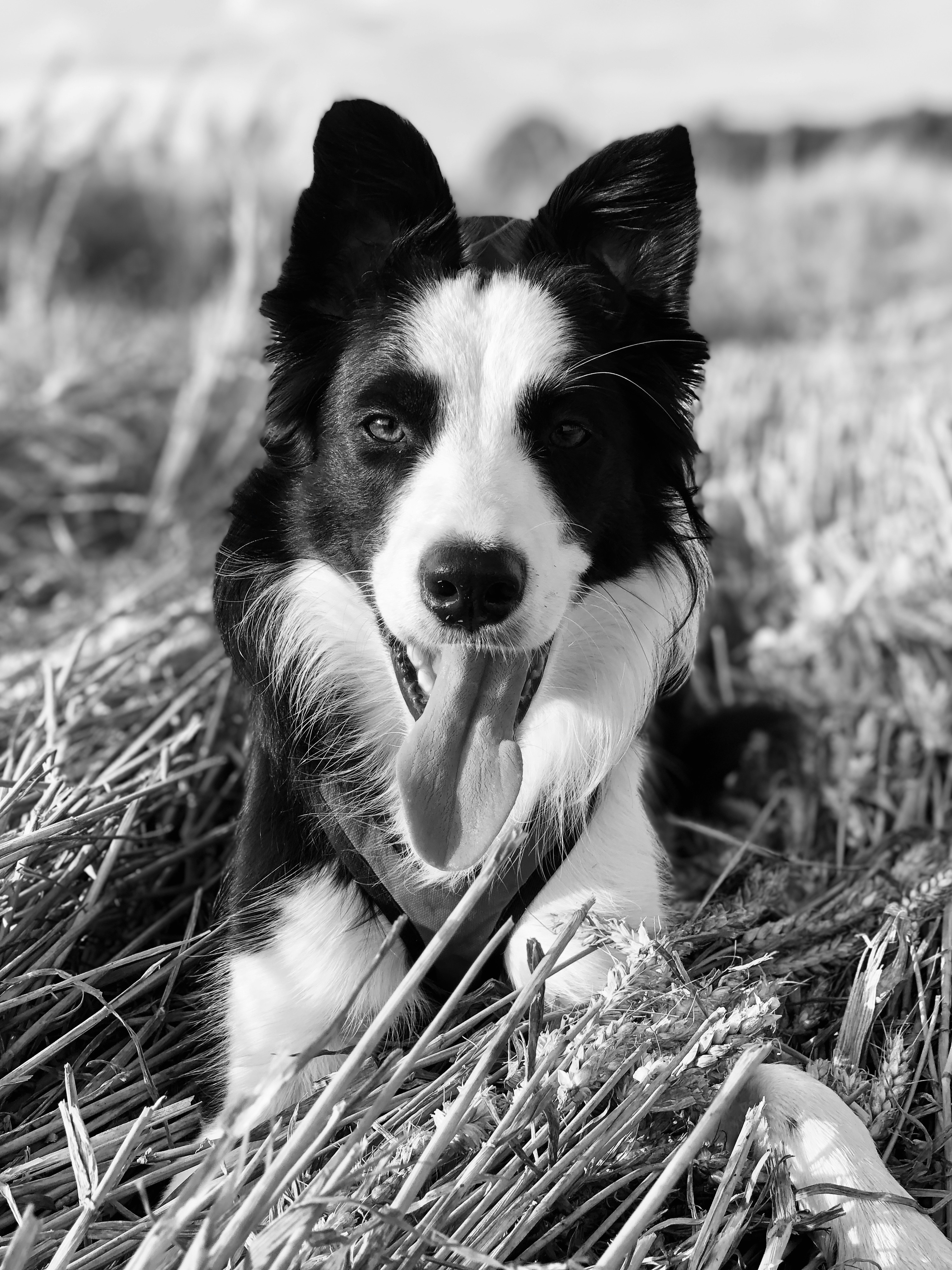 Photo by open_mind_open_doors