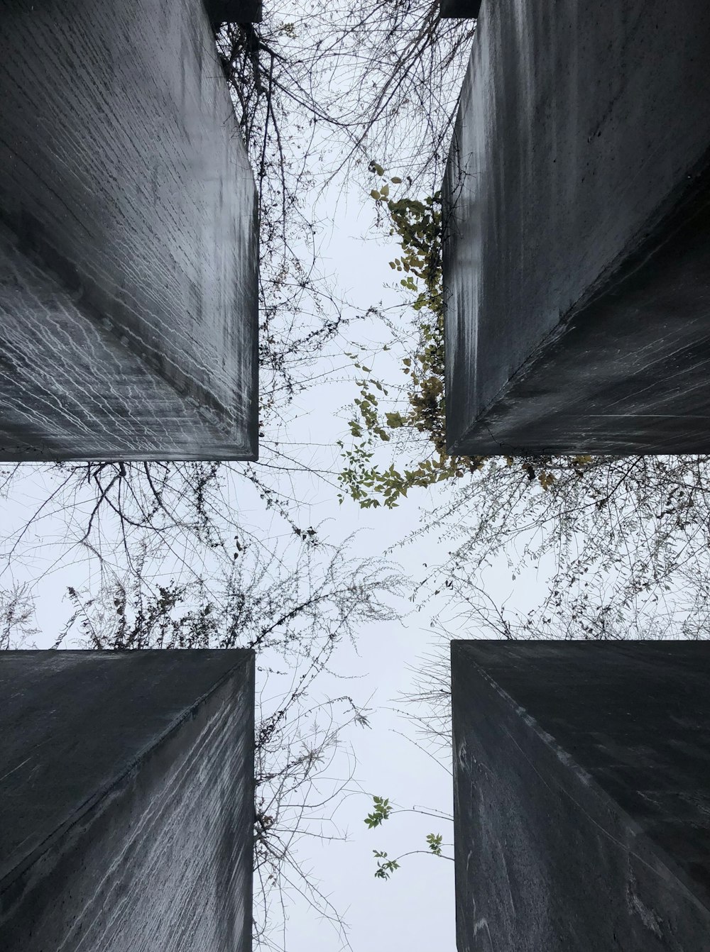 looking up into the sky from the bottom of a building