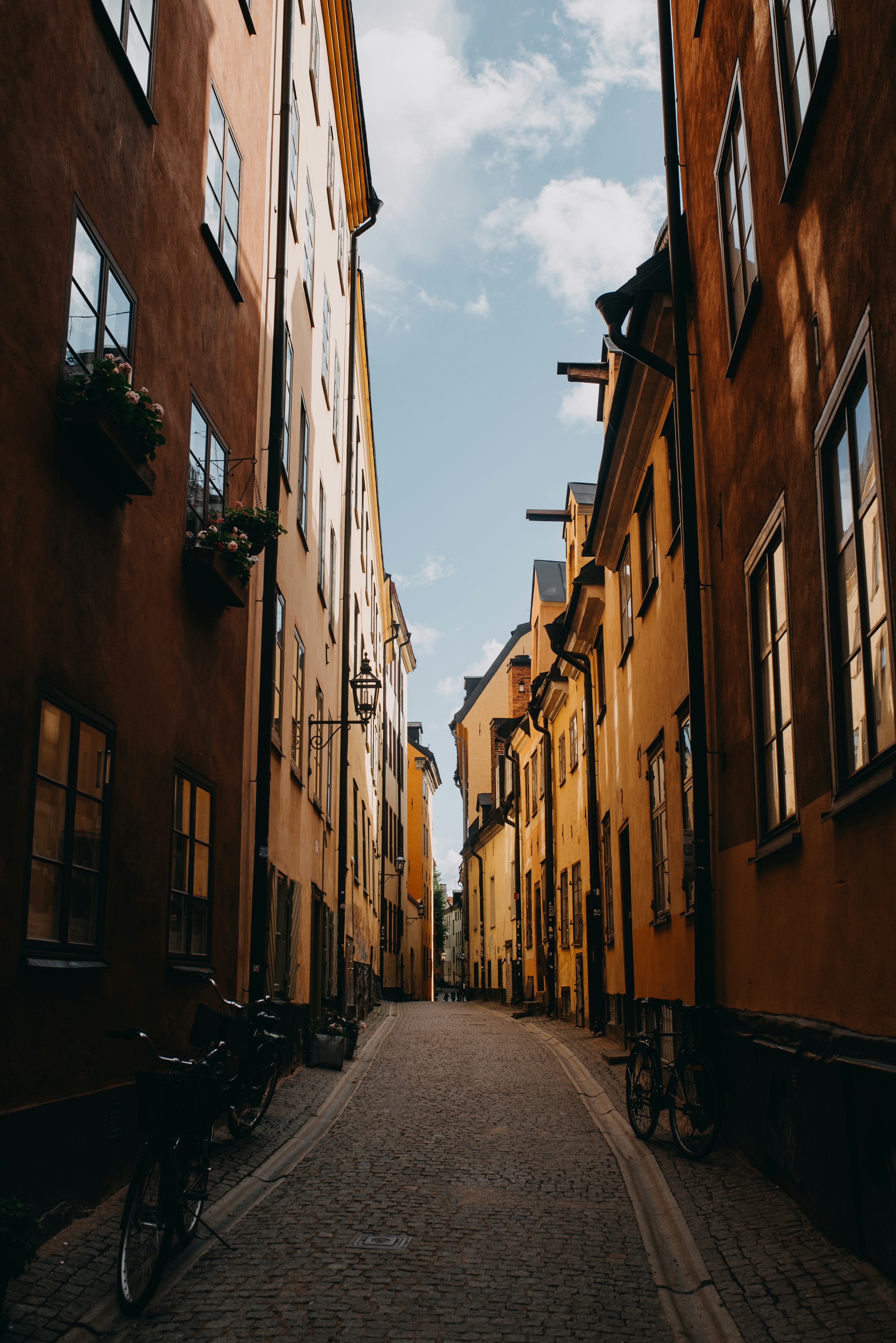 Photo by barnikakovacs