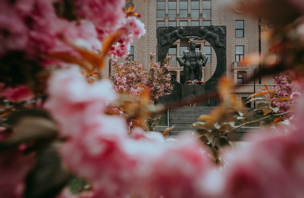 pink flowers