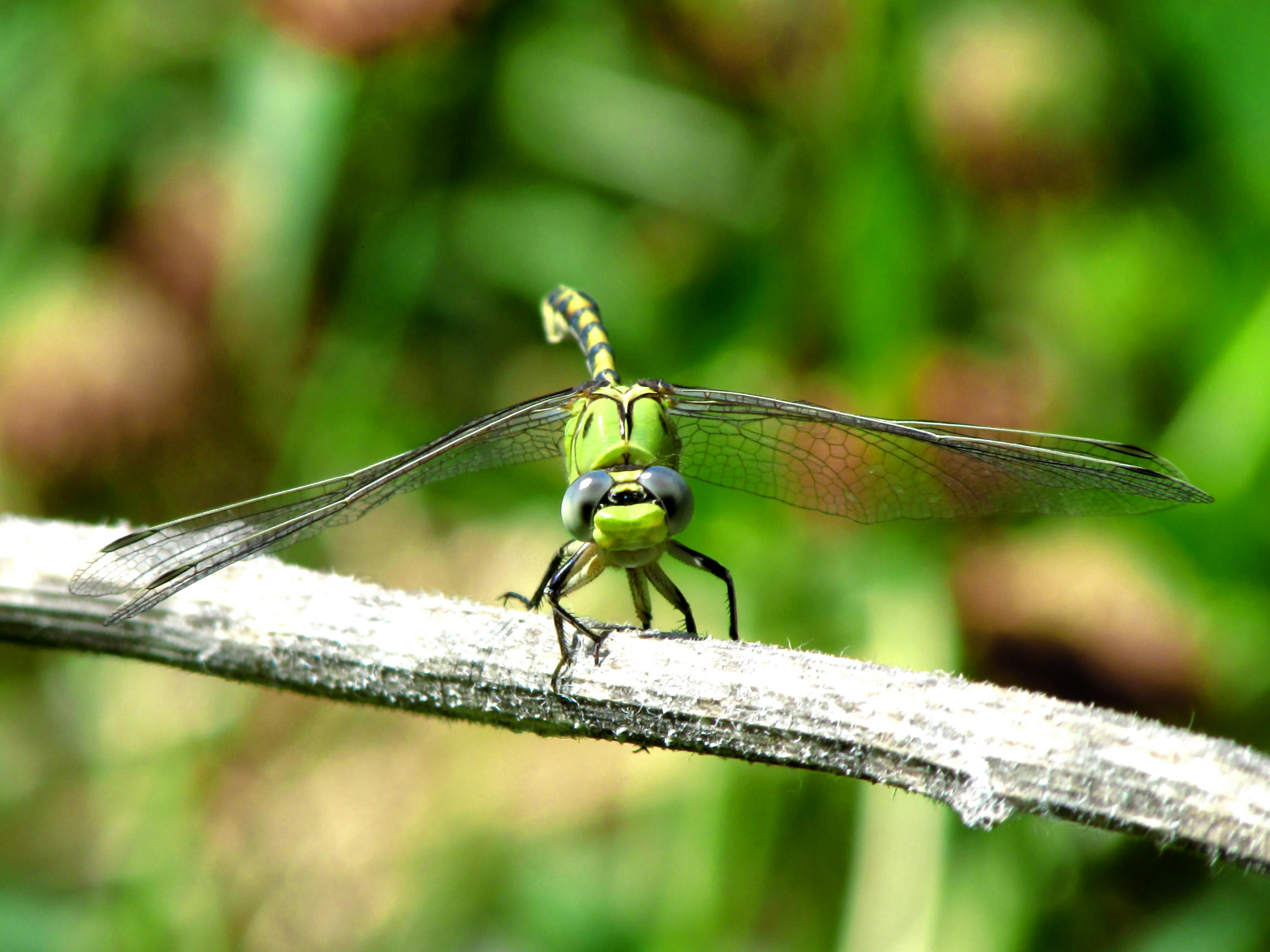 Photo by blendertimer