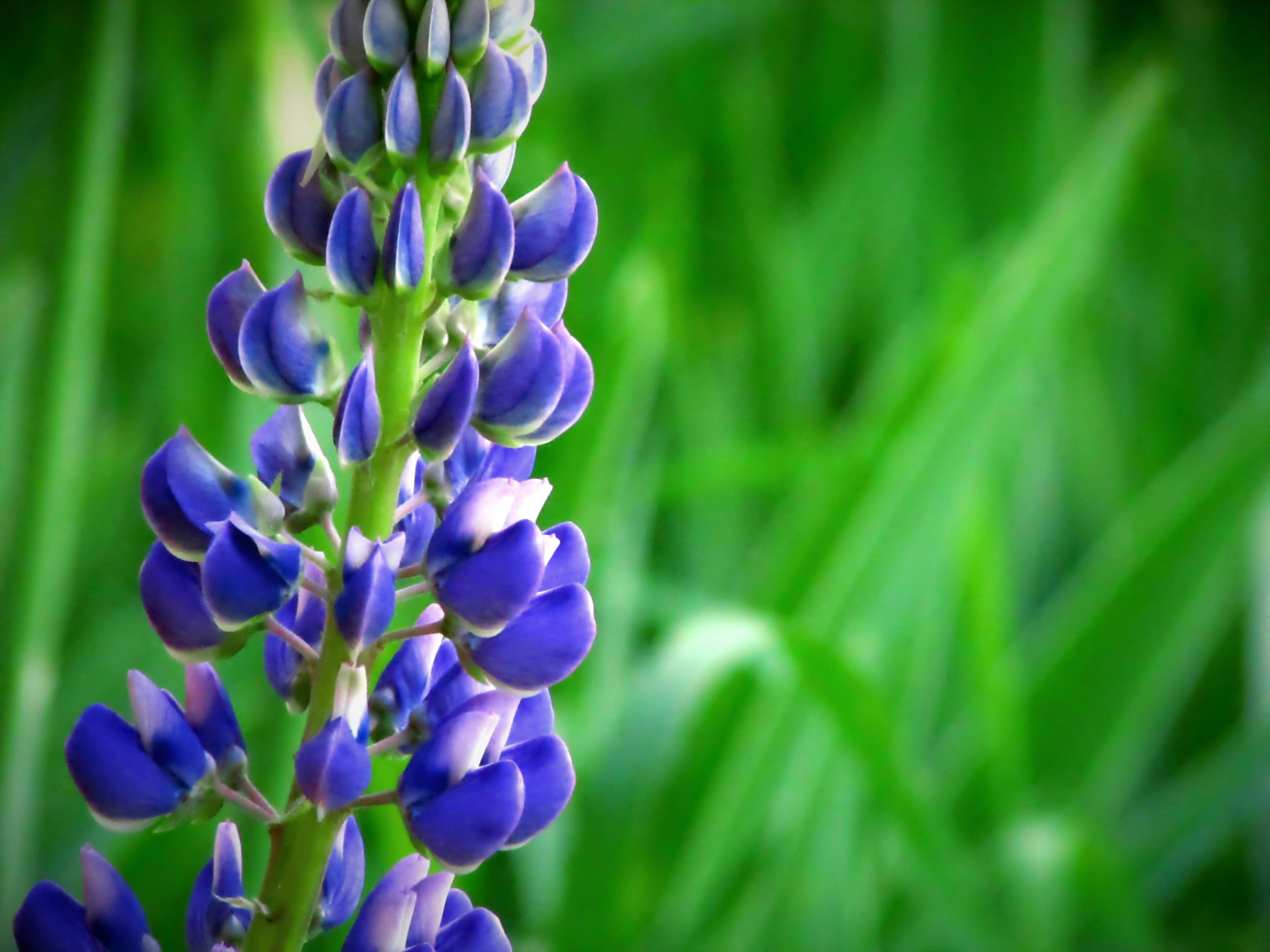 Photo by blendertimer