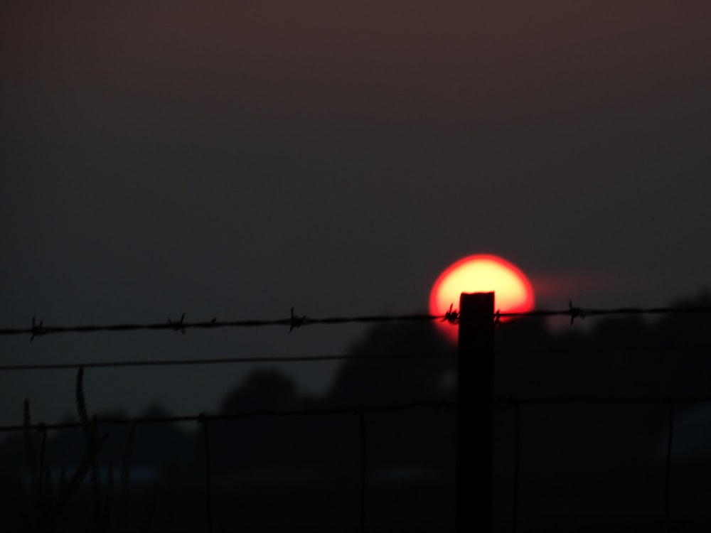 gray metal fence at sunset