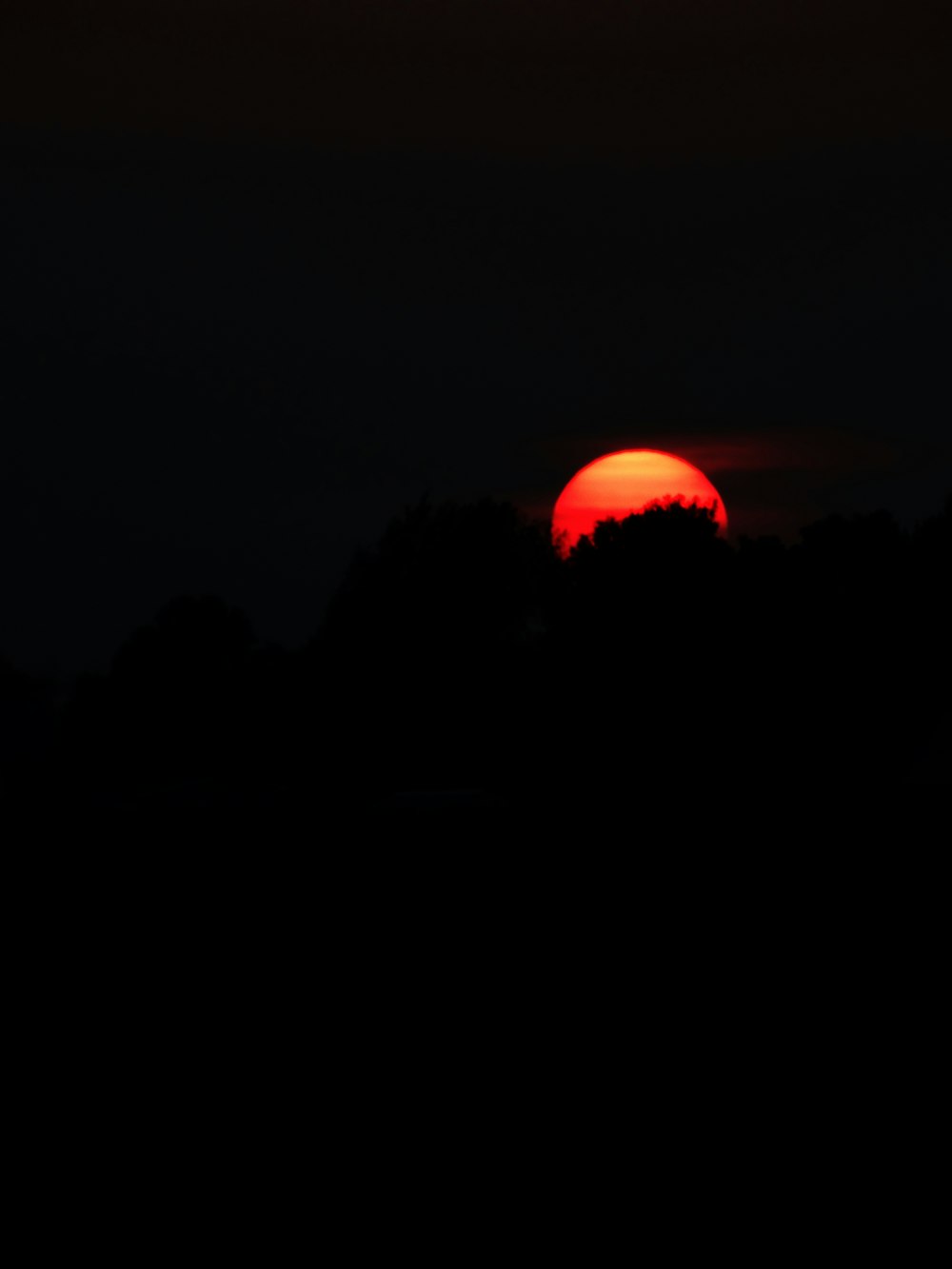 sunset over trees