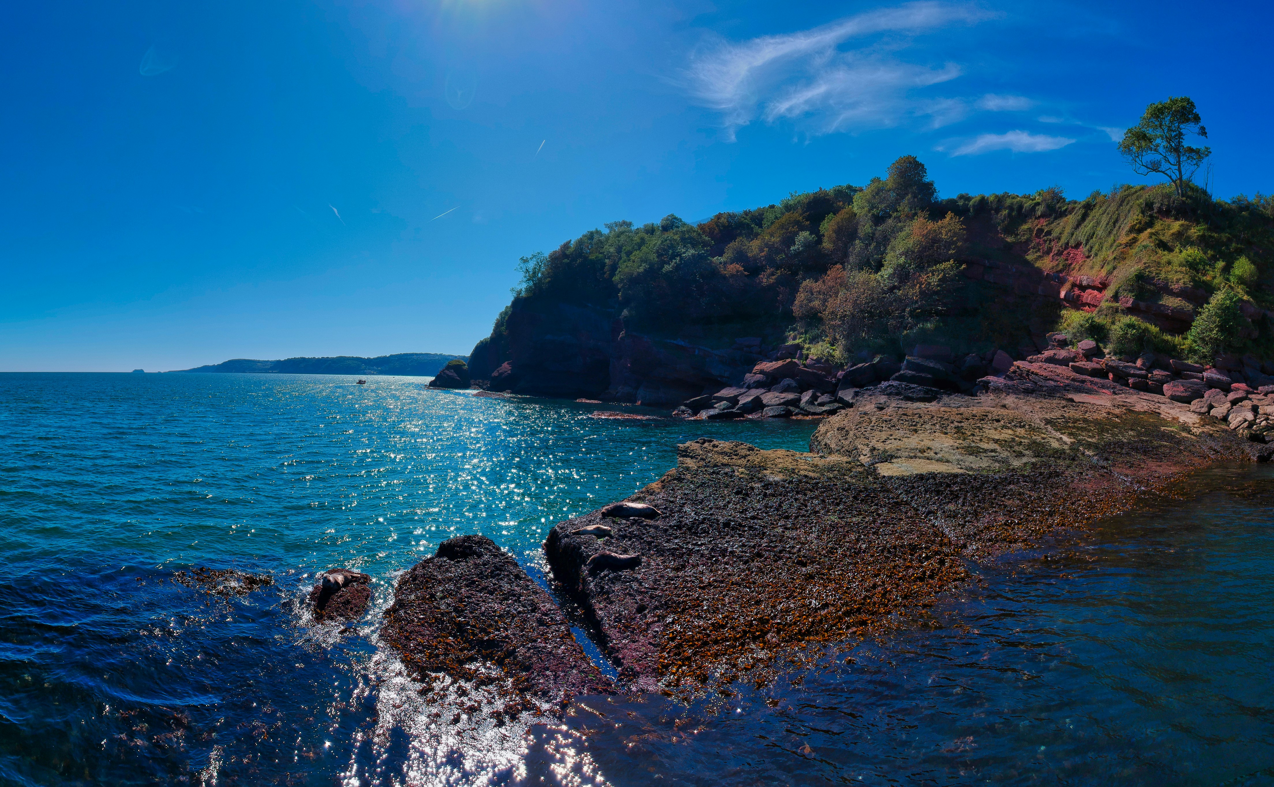 Photo by redzeppelin