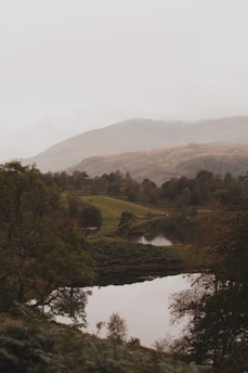 A serene landscape featuring a tranquil lake surrounded by lush greenery and soft mountains in the background.