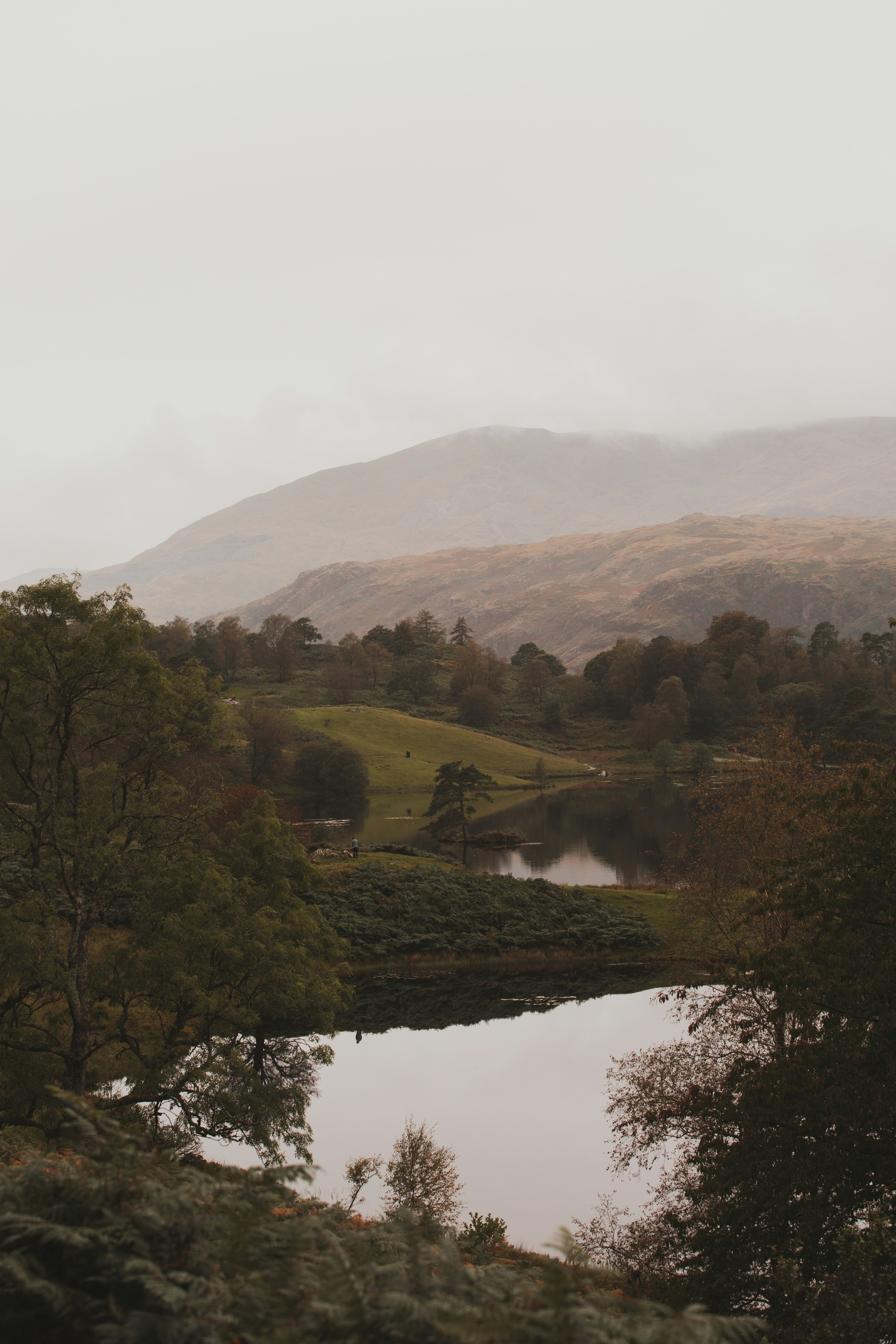 body of water surrounded by trees under gray sky during daytime