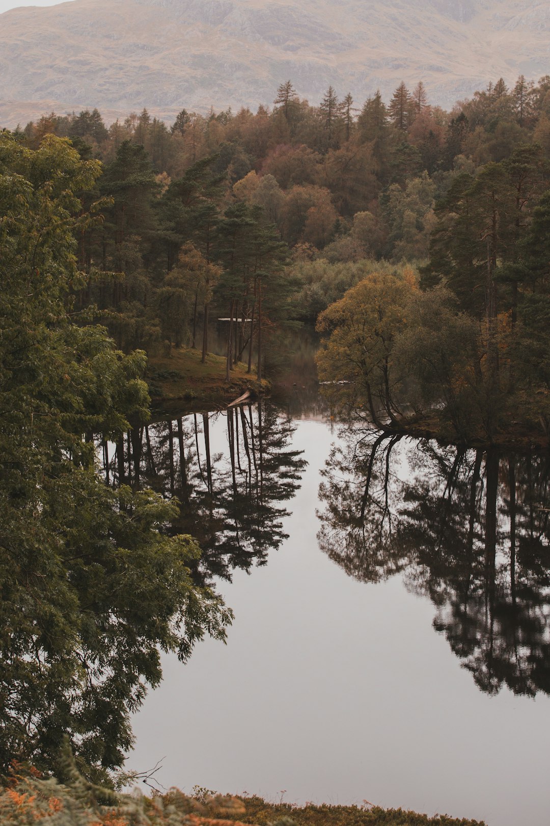 green trees