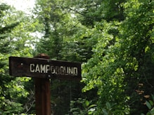 sign in forest