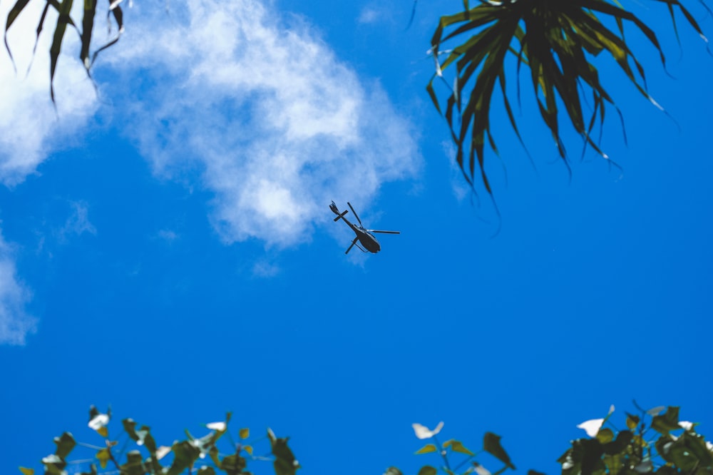 Helicóptero en vuelo