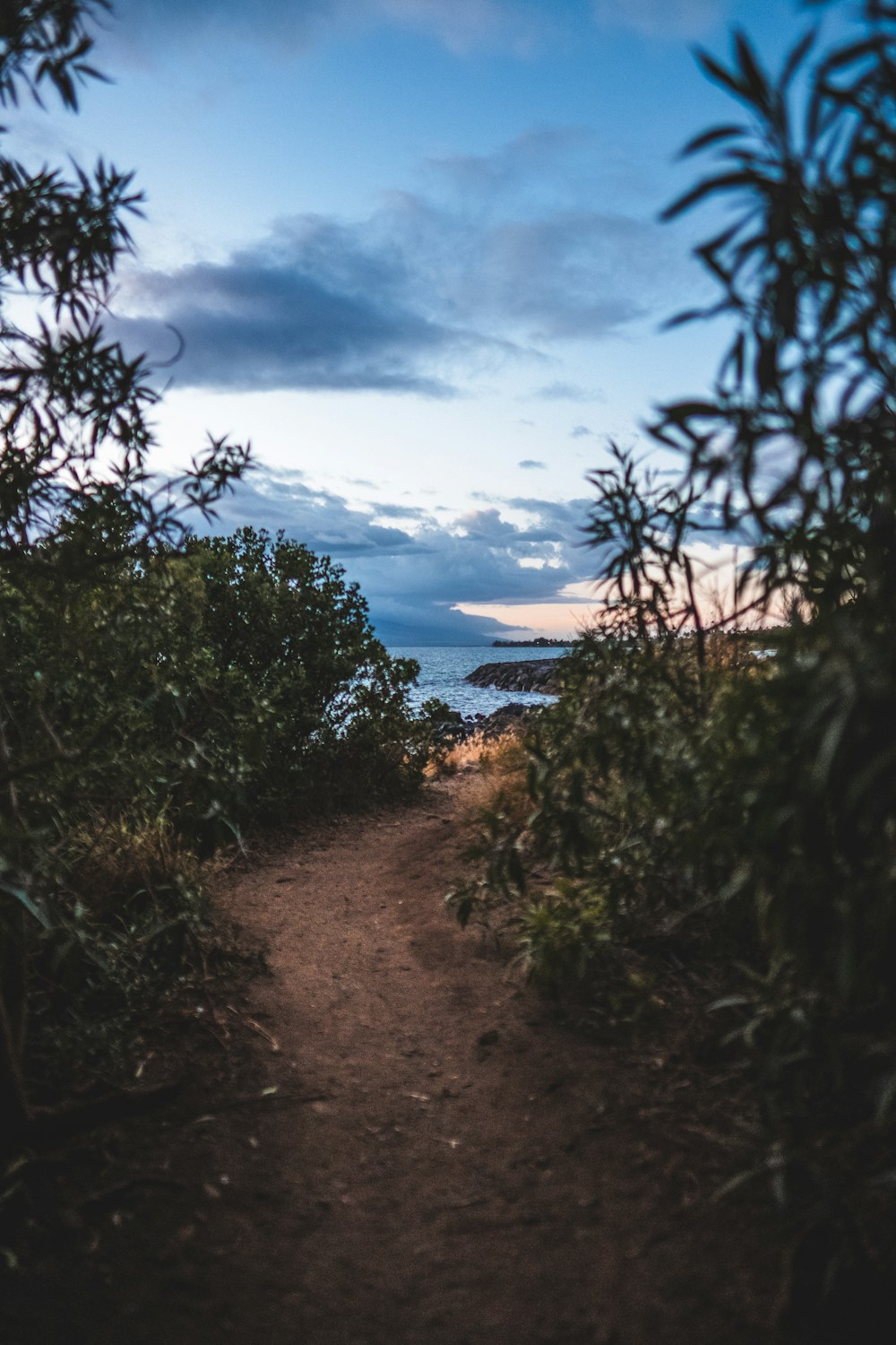 a dirt path leading to the ocean under a cloudy sky