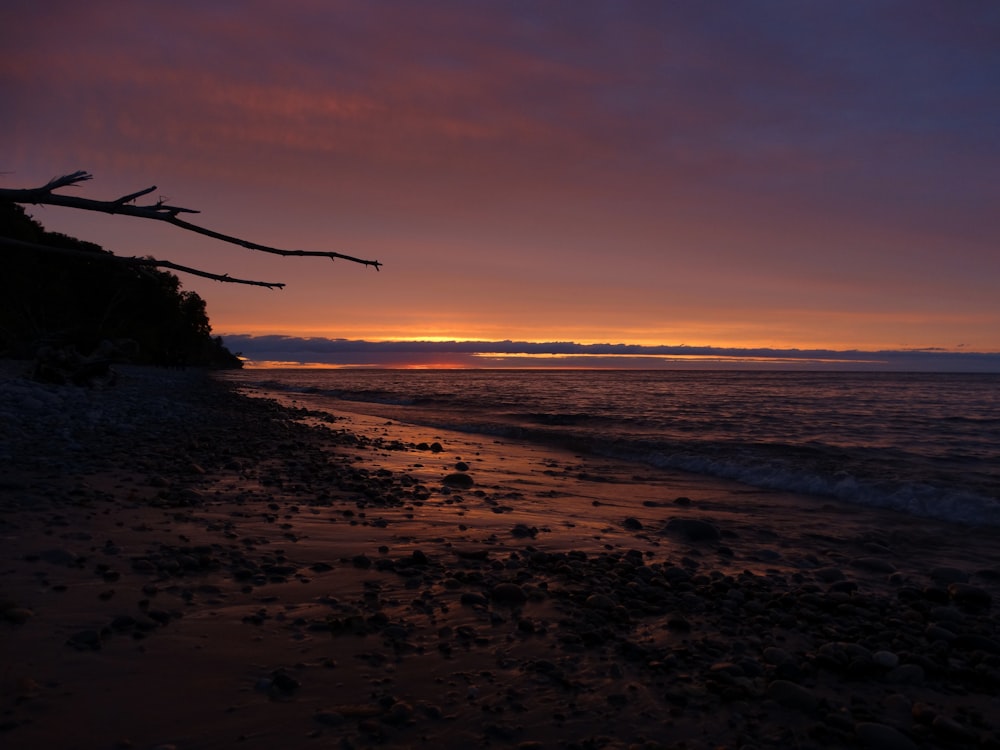 a sunset on a beach with a tree branch sticking out of the water