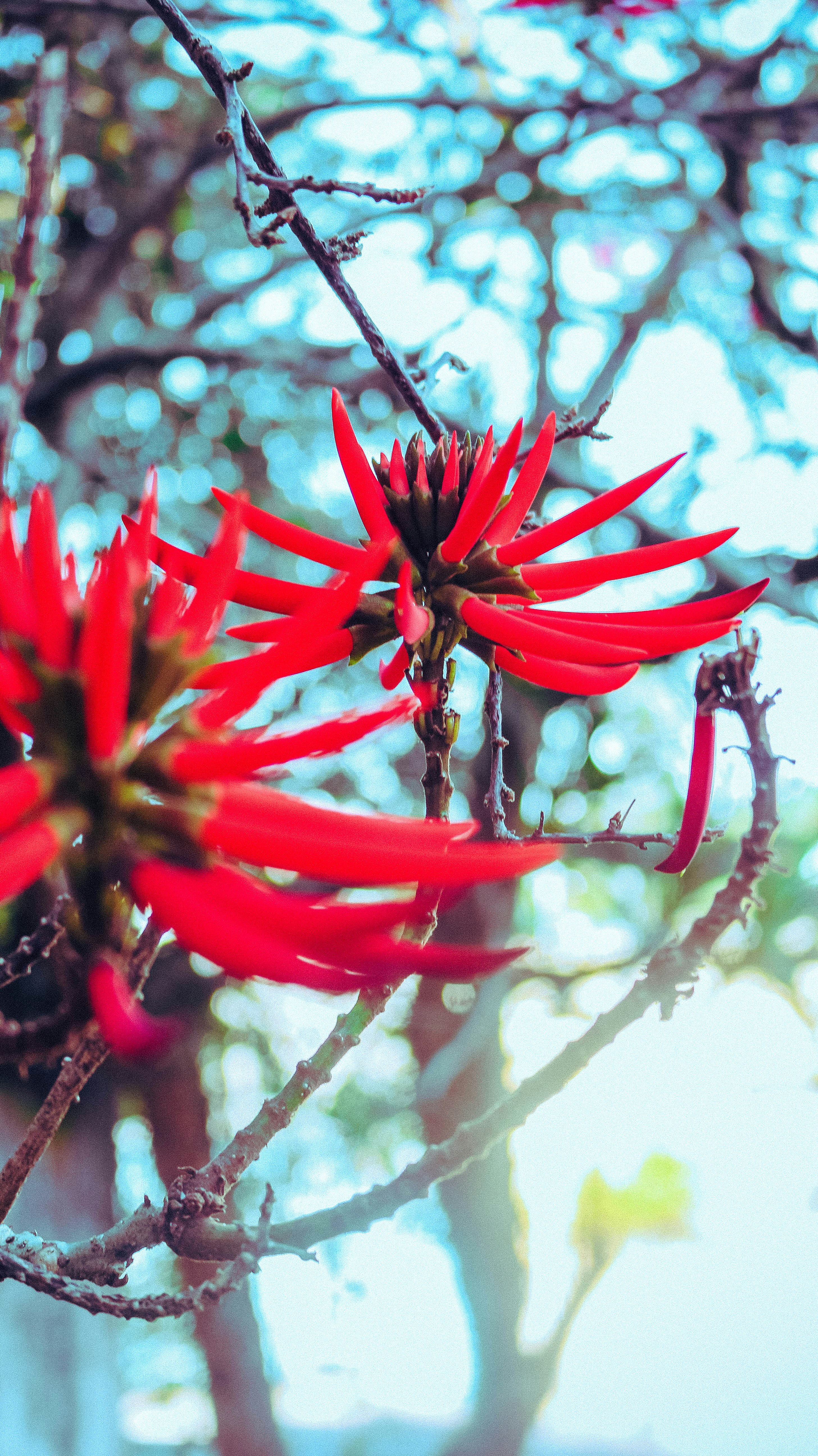 Photo by jordansprestes