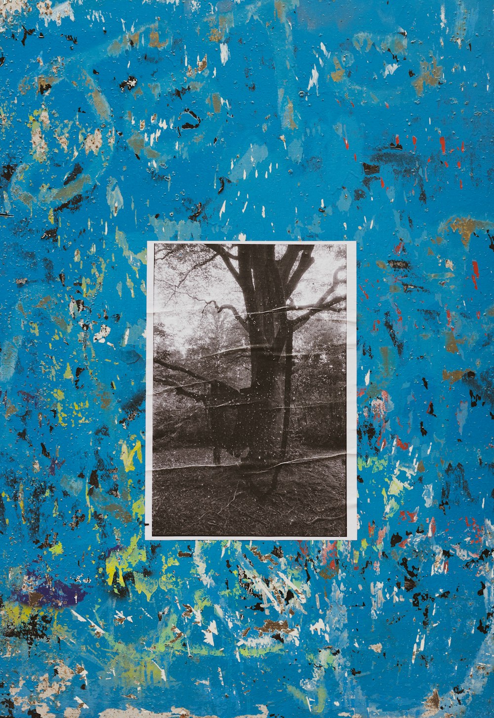 une image d’un arbre sur un mur bleu