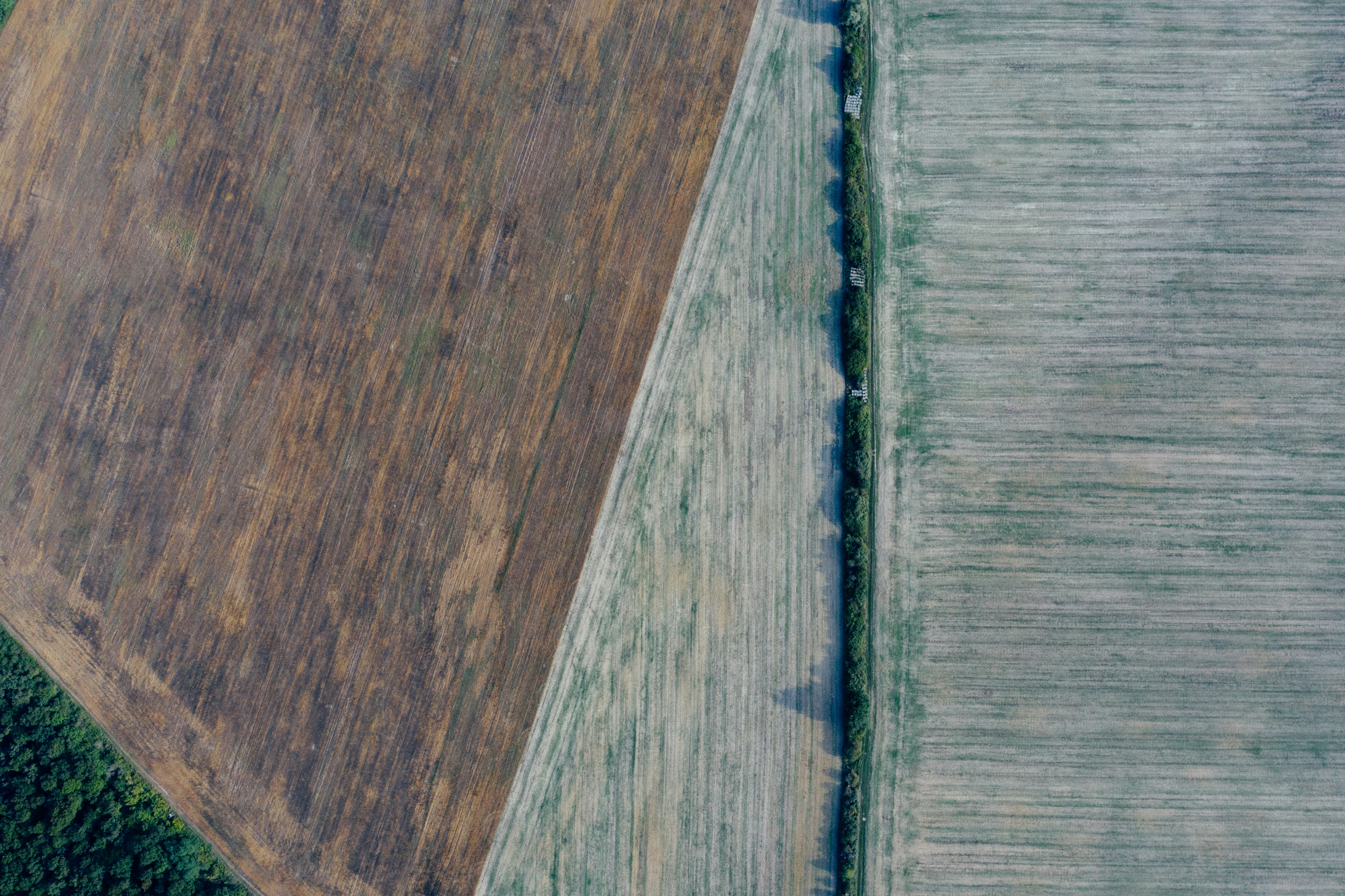 Photo by ballaschottner