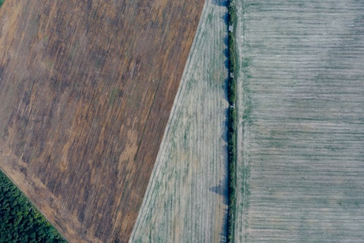 An aerial view of two adjacent agricultural fields with distinct colors and patterns. The field on the left has a brownish tone with visible traces of crop rows, while the field on the right appears lighter and is possibly covered with sparse vegetation or dry grass. A narrow strip of green trees separates the two fields.