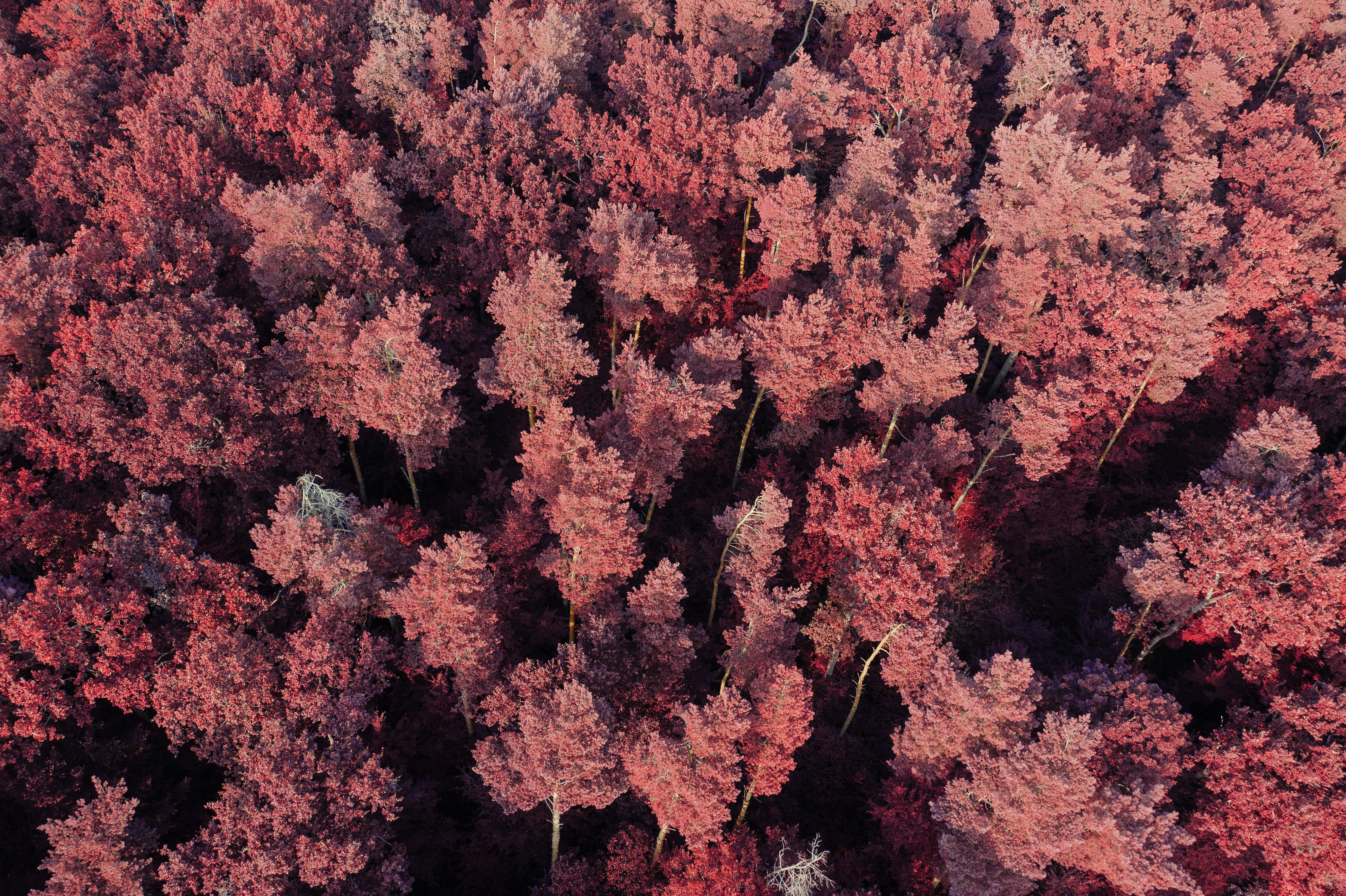 Photo by ballaschottner