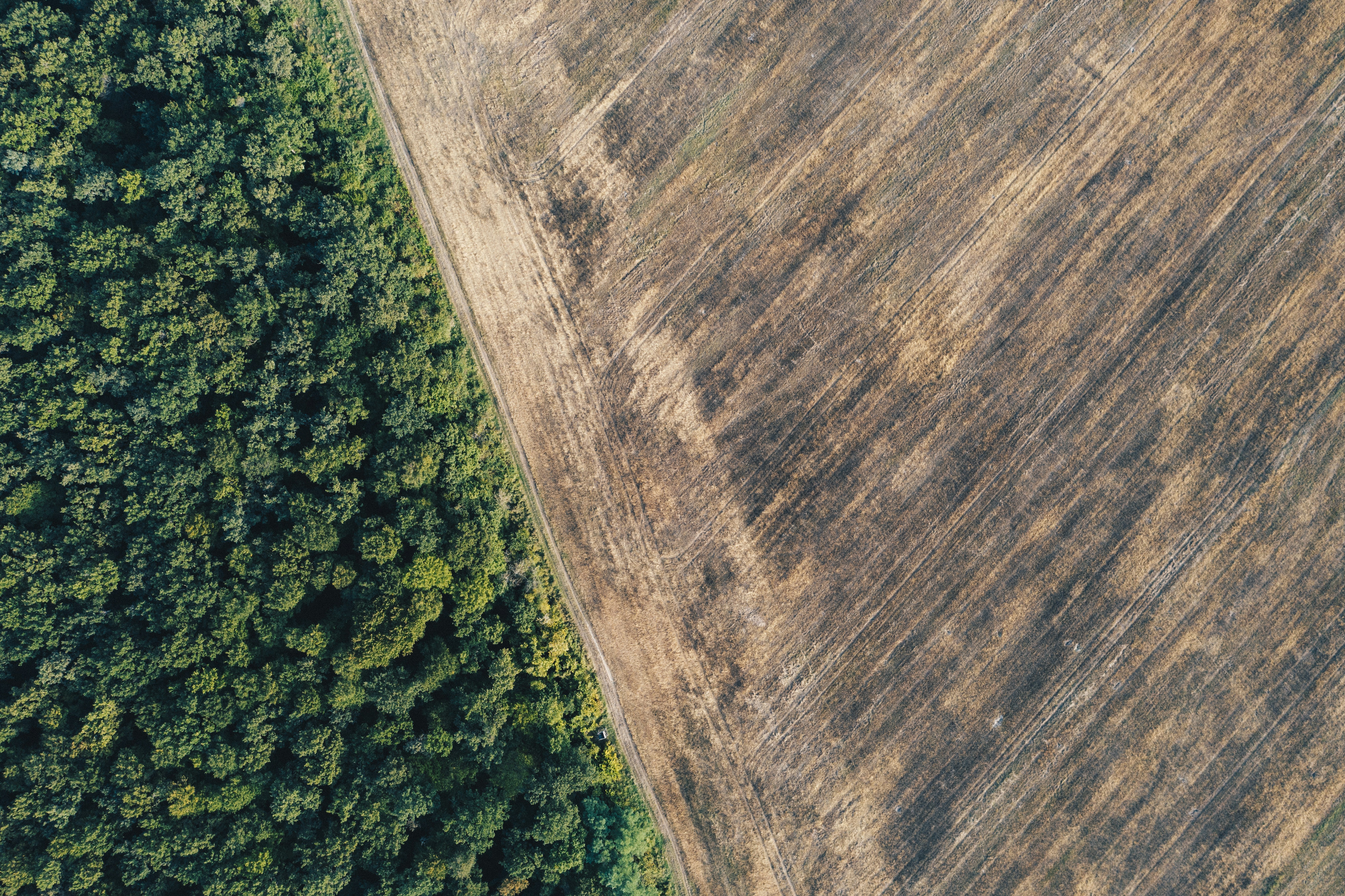 Photo by ballaschottner