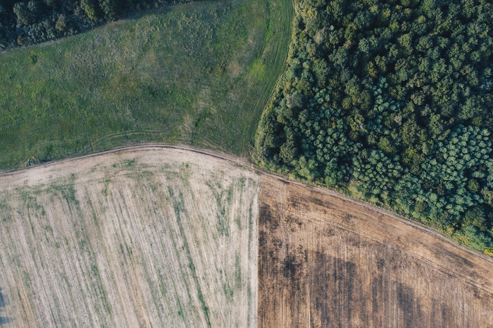 an aerial view of a field and a forest