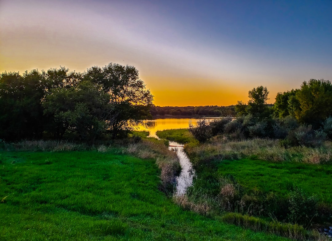 green grassland and trees across body of water during sunset