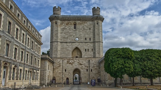 Château de Vincennes things to do in Cathédrale Saint-Étienne de Meaux