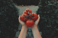 Unlocking the Power of Food: How Diet Impacts Disease & Improves Health