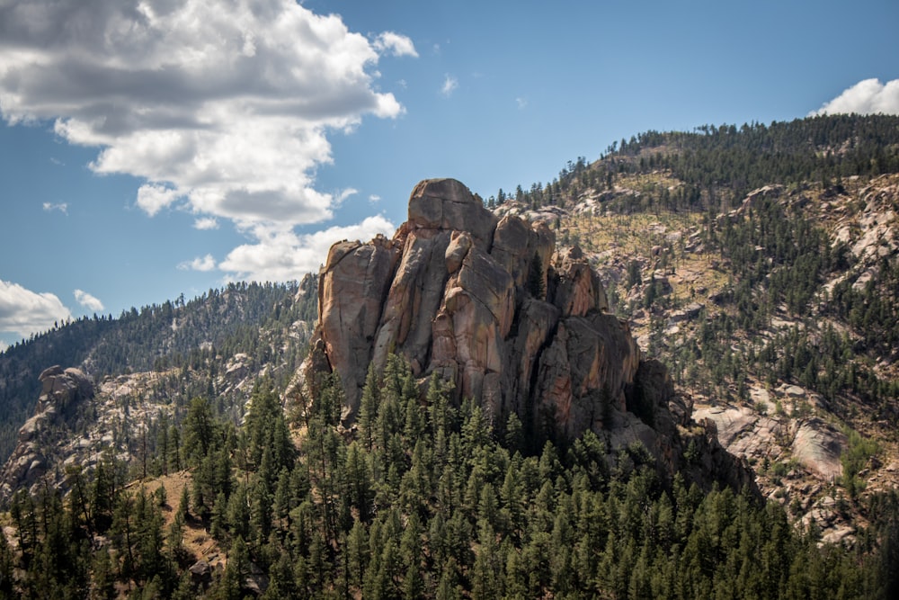 grey mountain near trees