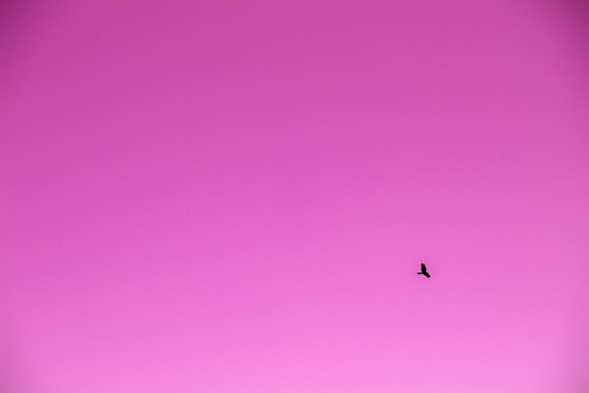 The Cute Warm-up Jacket