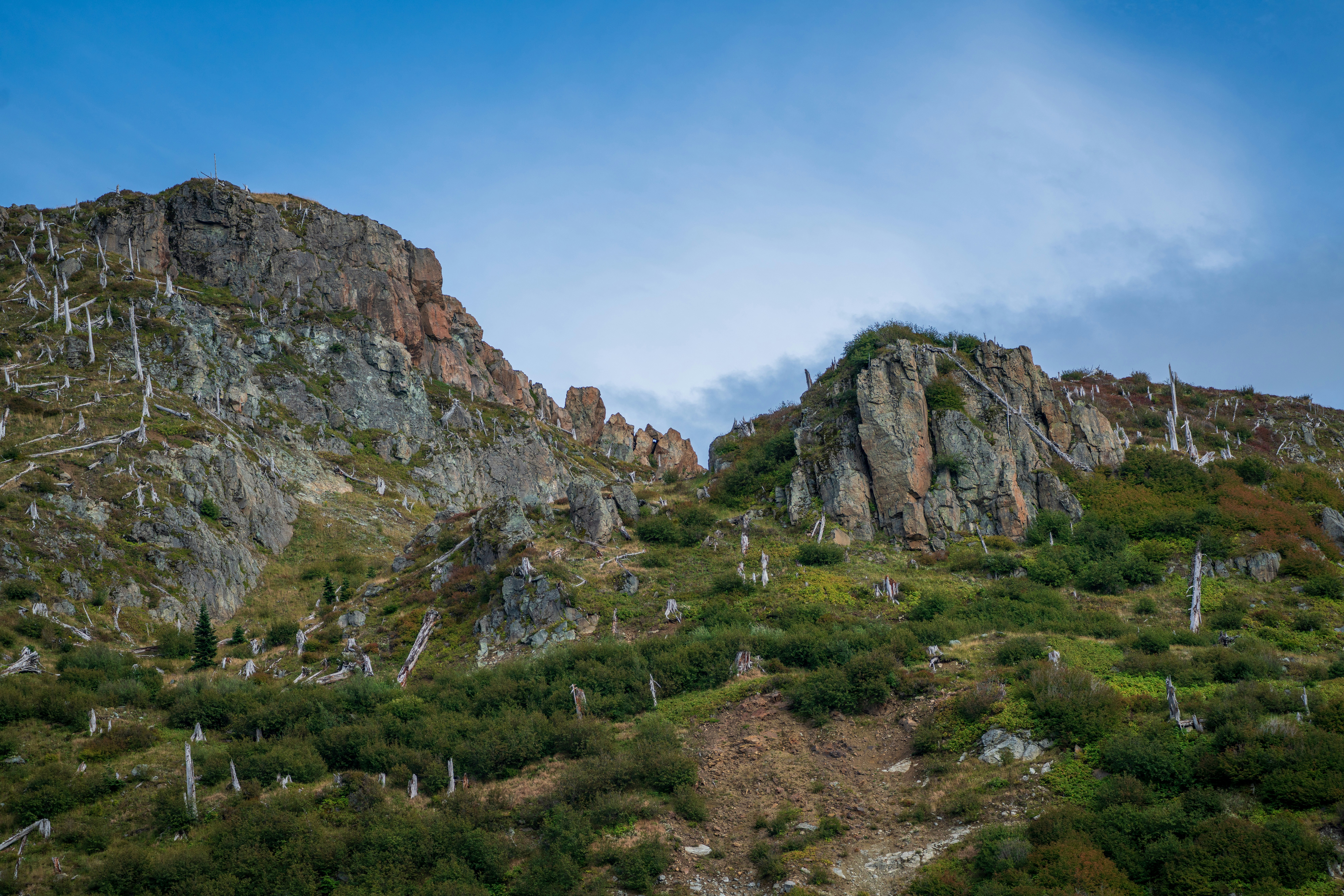 Photo by wanderingcrow