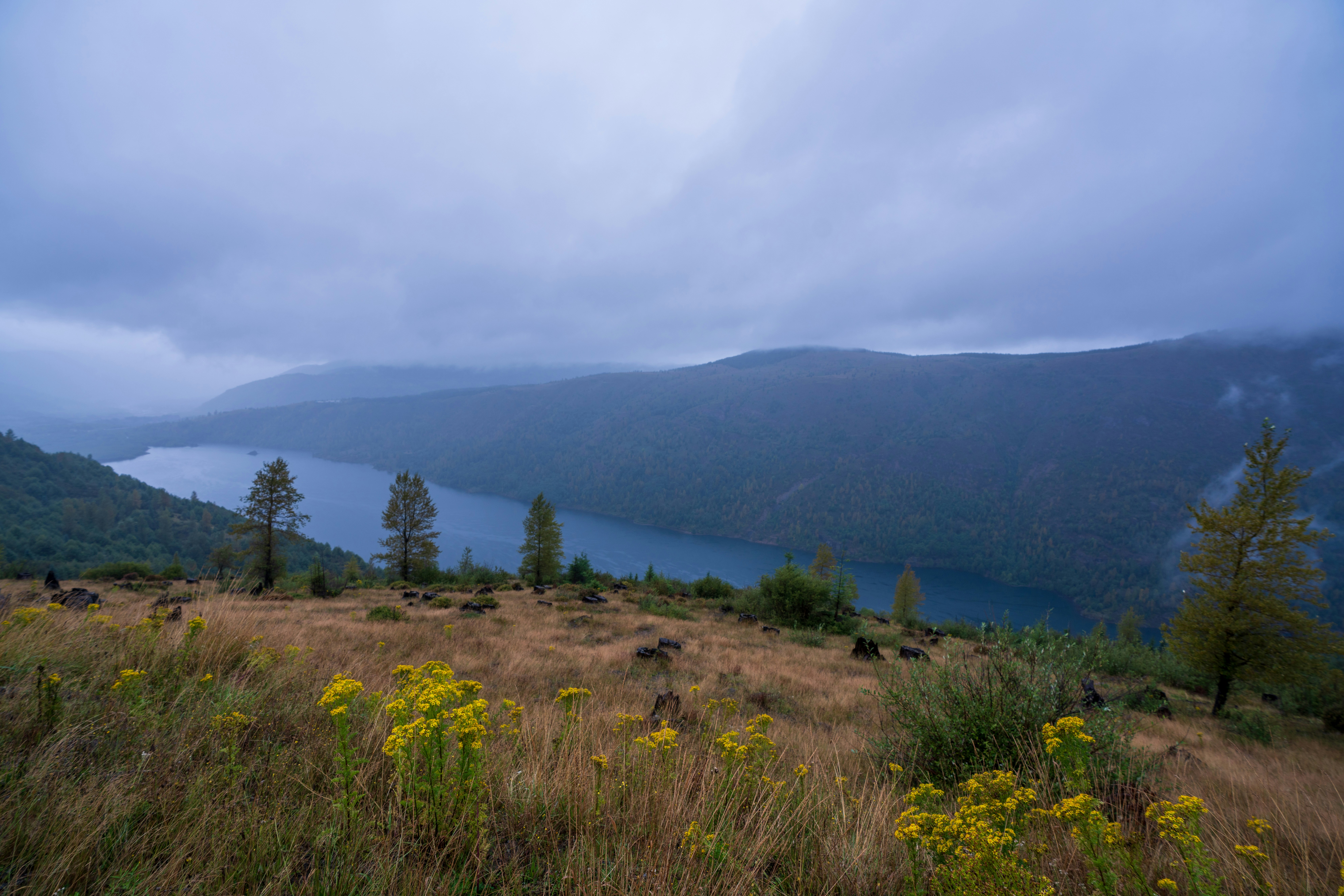 Photo by wanderingcrow