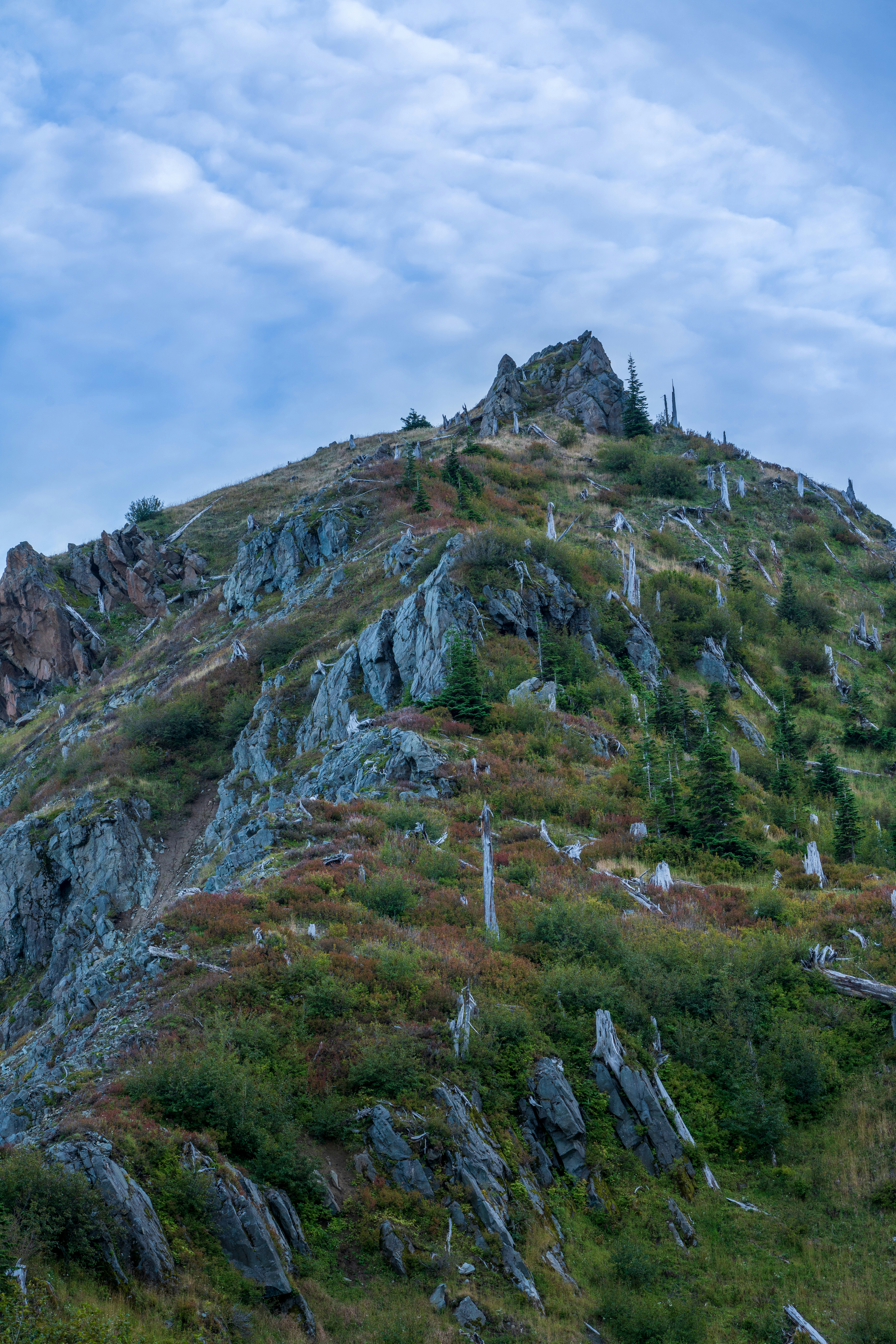 Photo by wanderingcrow