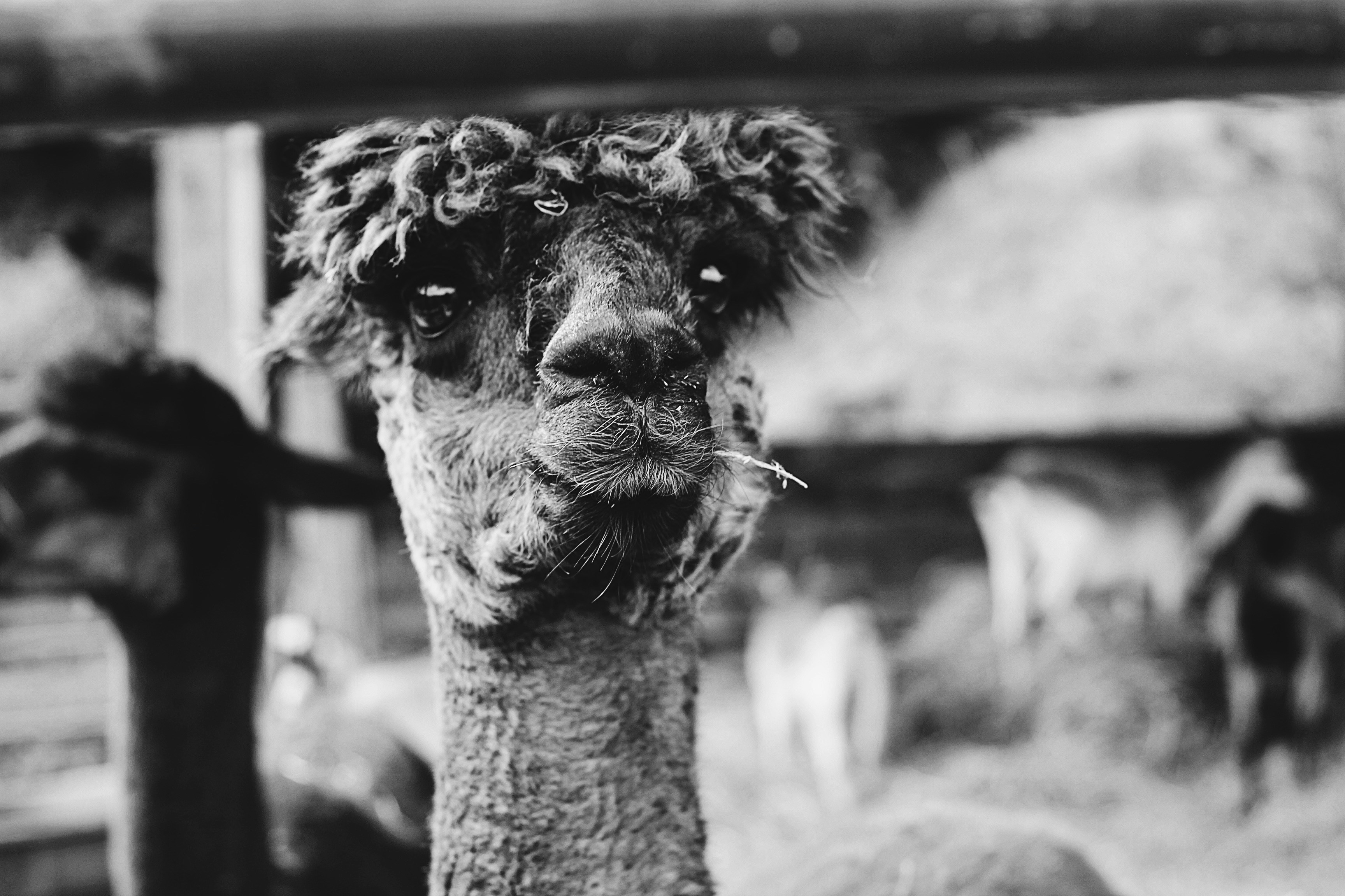 Photo by earthtokarly