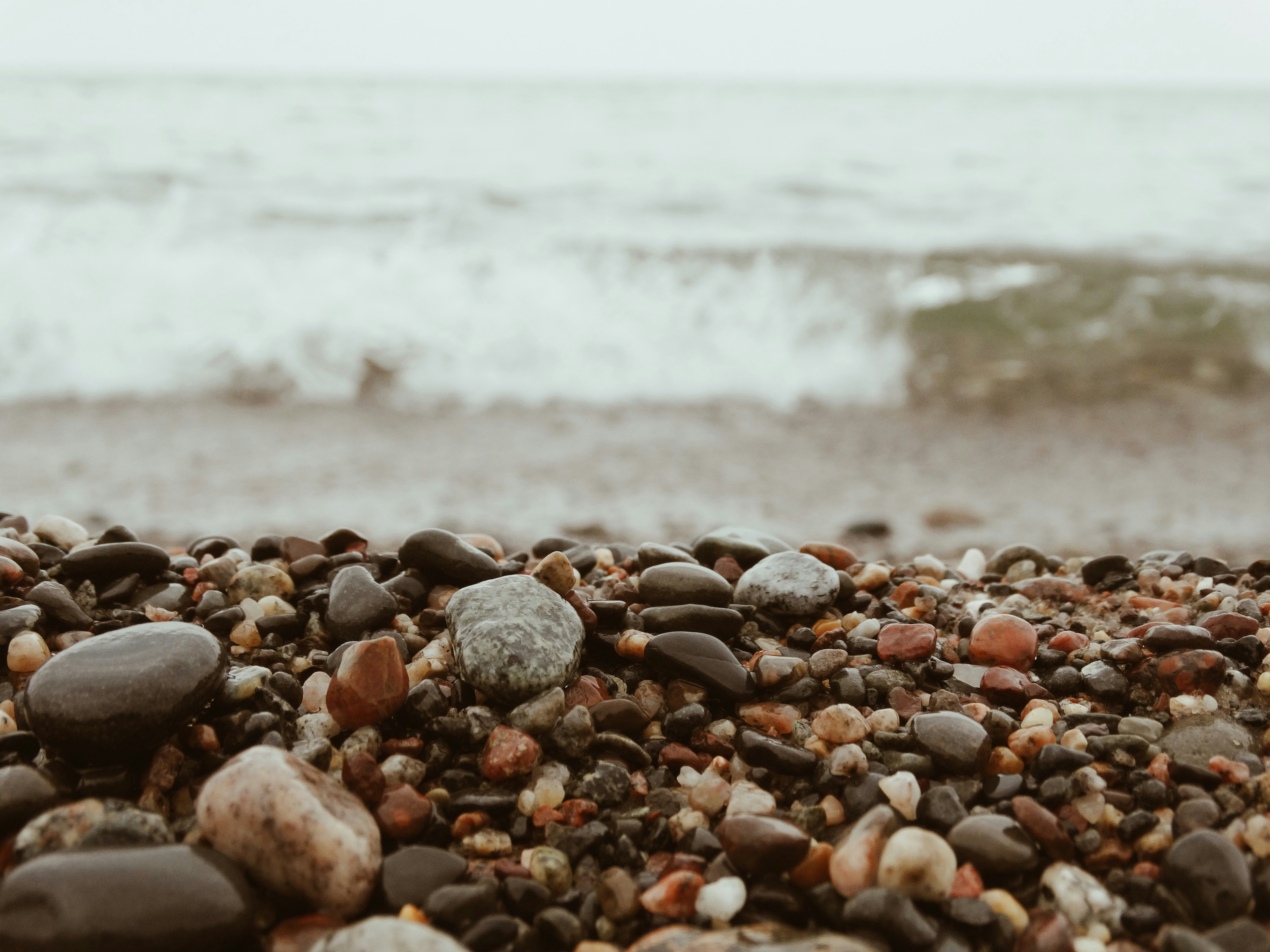 Photo by joyfulcaptures