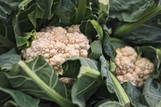 Cauliflower vegetable macro photography