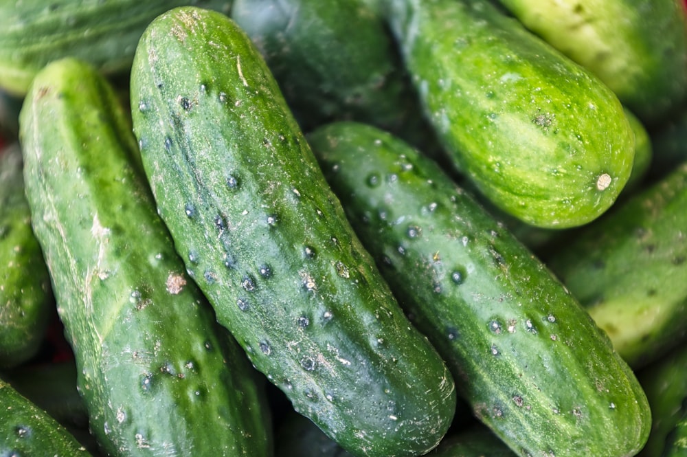 green cucumber lot