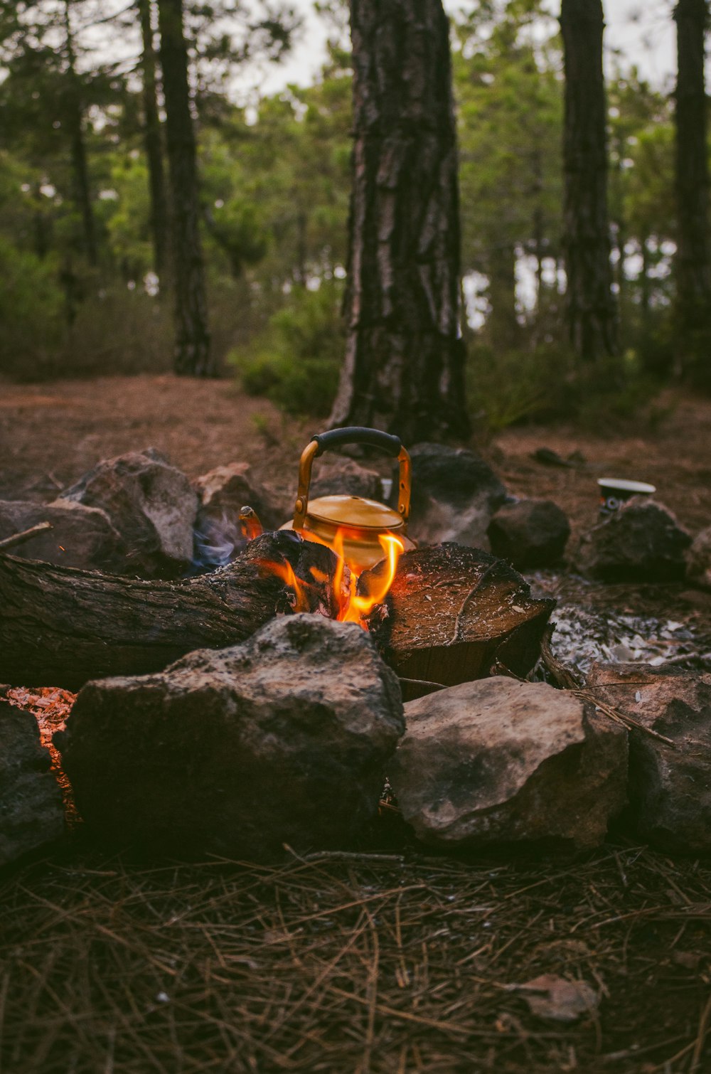 copper-colored kettle on fire pit