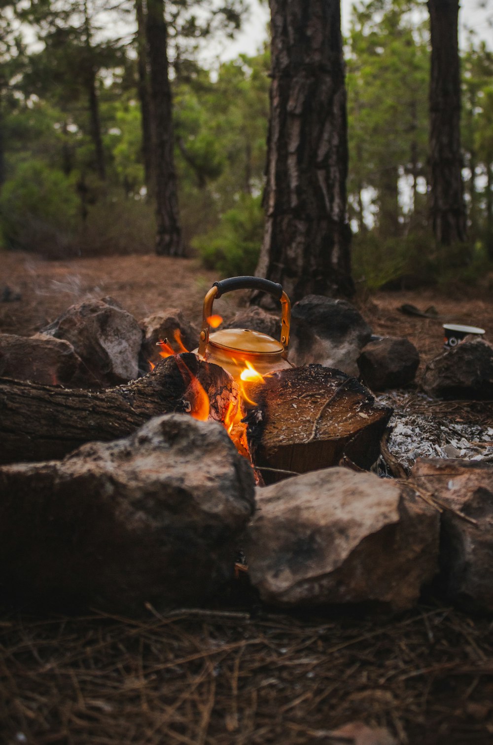 grey metal pot on burning fire