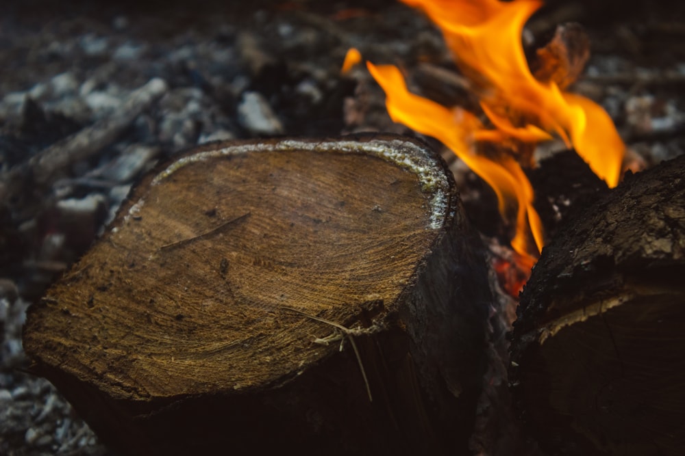 burning wood during daytime