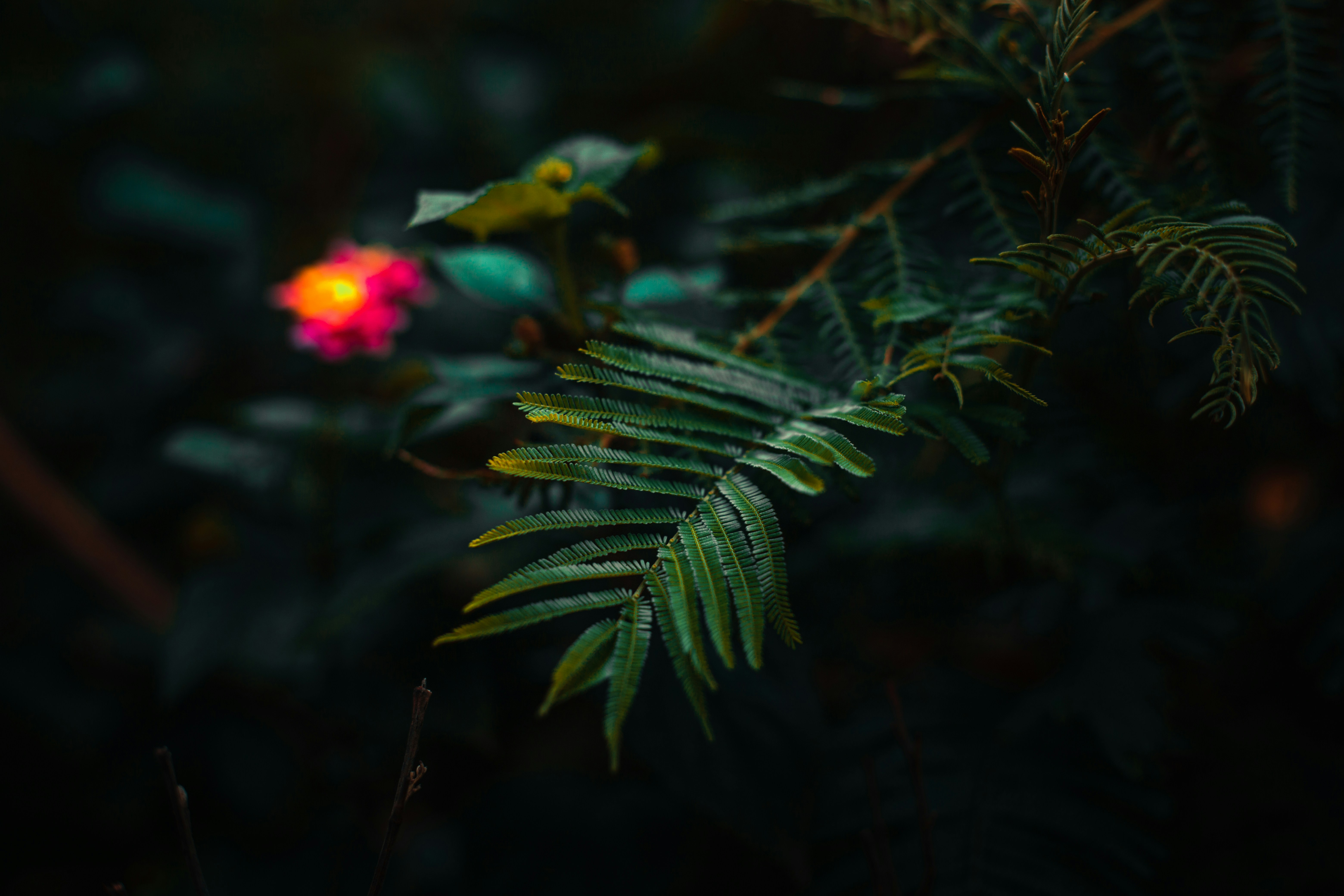 Photo by zayyerrn