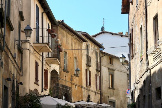 La Taverna dell'Etrusco things to do in Comune Di Bagnoregio