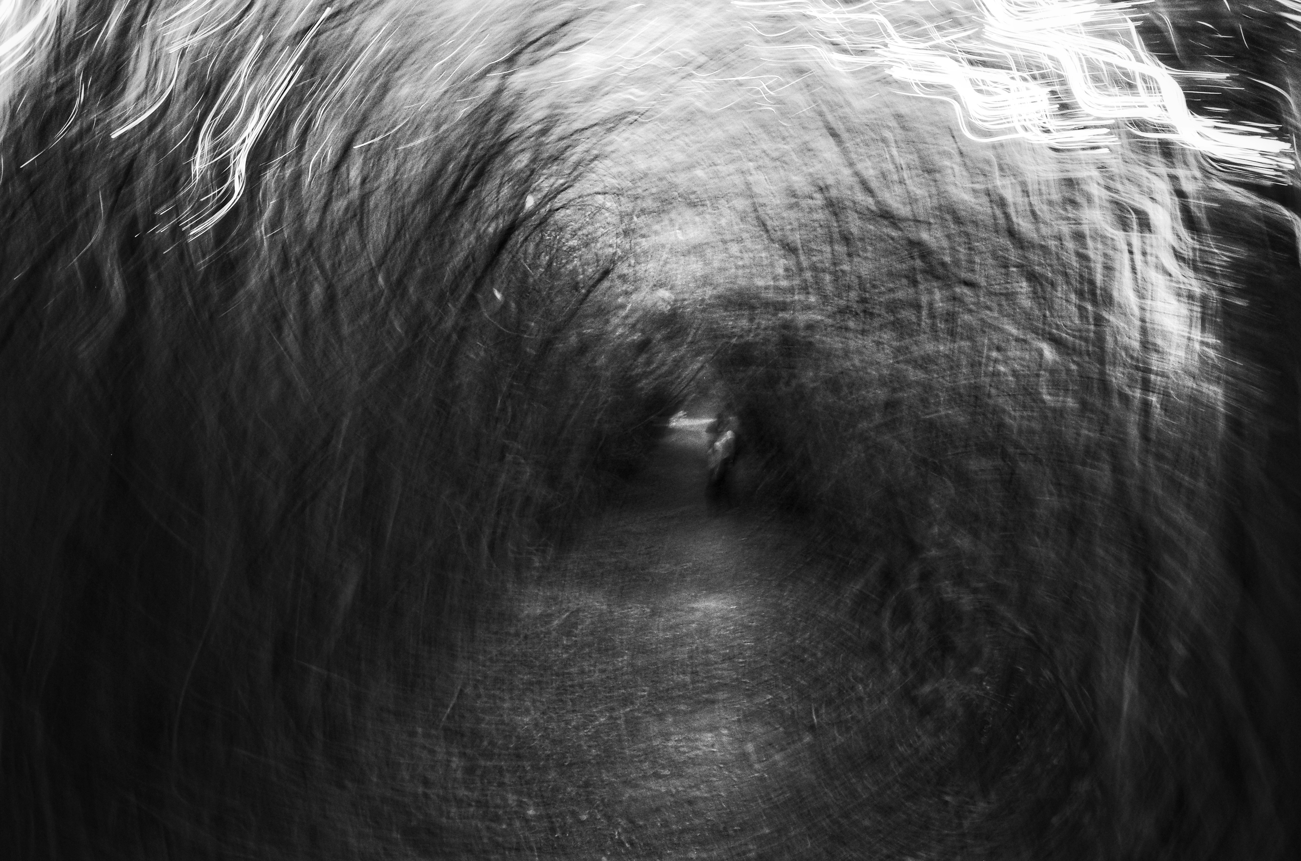 Photo by tomasrobertson