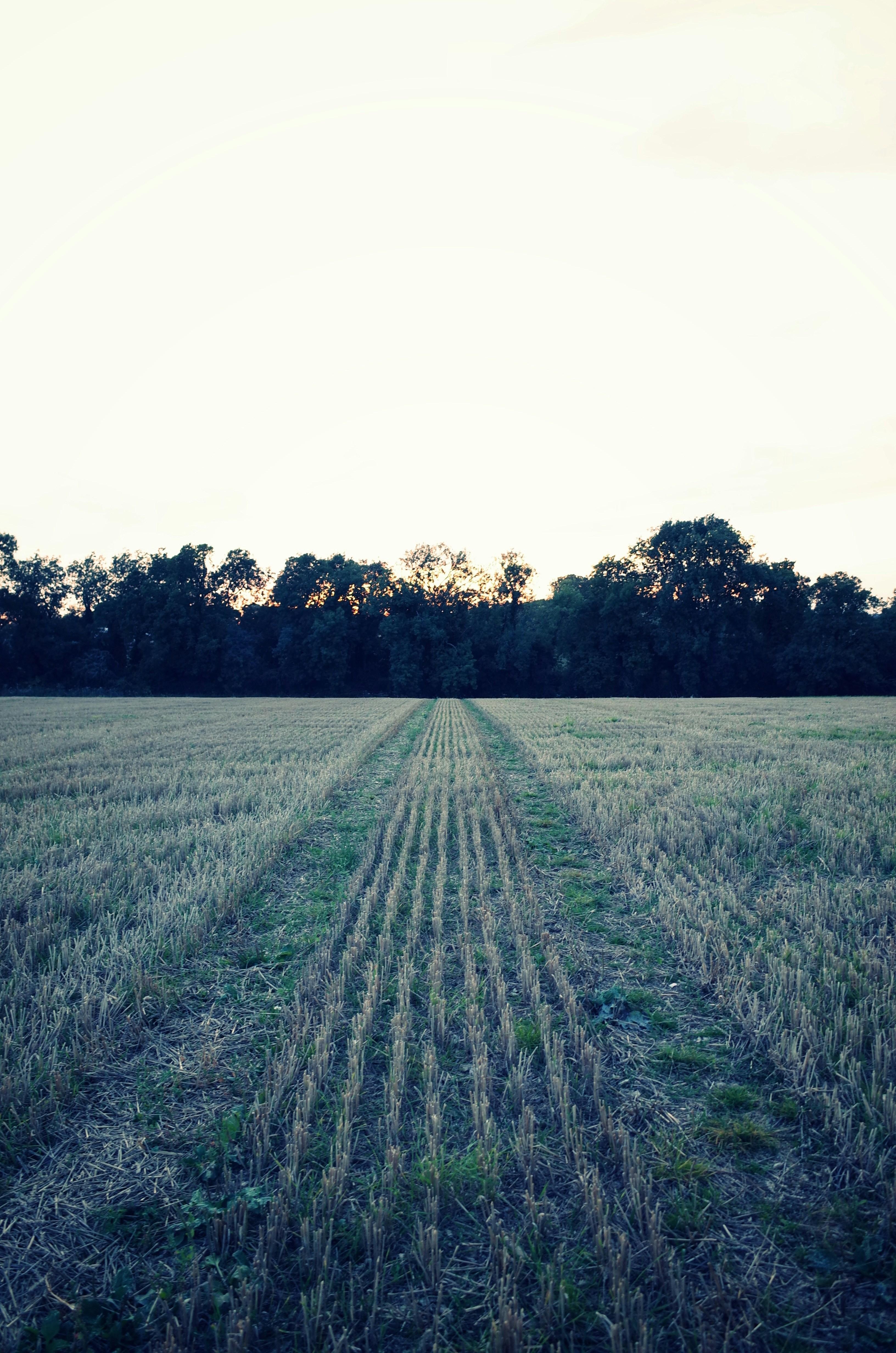 Photo by tomasrobertson