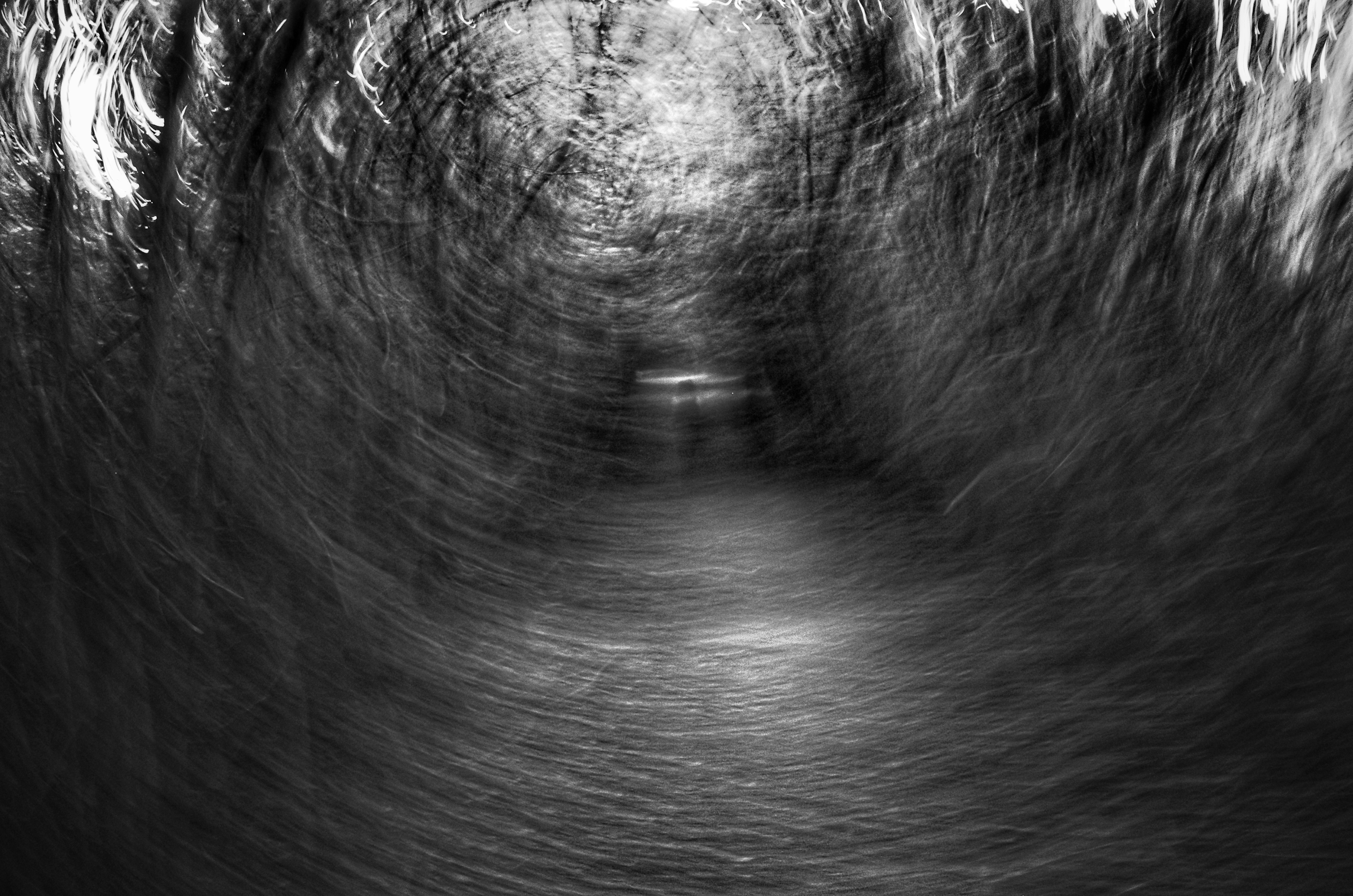 Photo by tomasrobertson