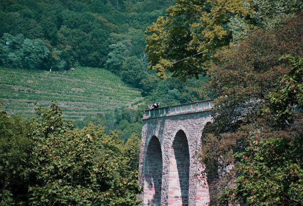 Bâtiment en béton gris pendant la journée