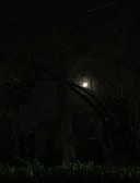 A haunting landscape with twisted trees under a full moon.