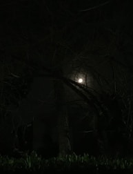 A dark, moody scene of a mysterious figure under a full moon.