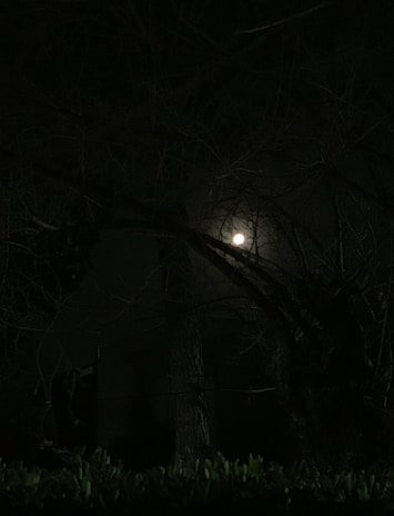 An eerie silhouette of the historic Thomasville courthouse under a full moon, surrounded by ancient oak trees.