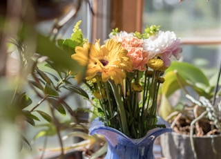 yellow-pelaled flower